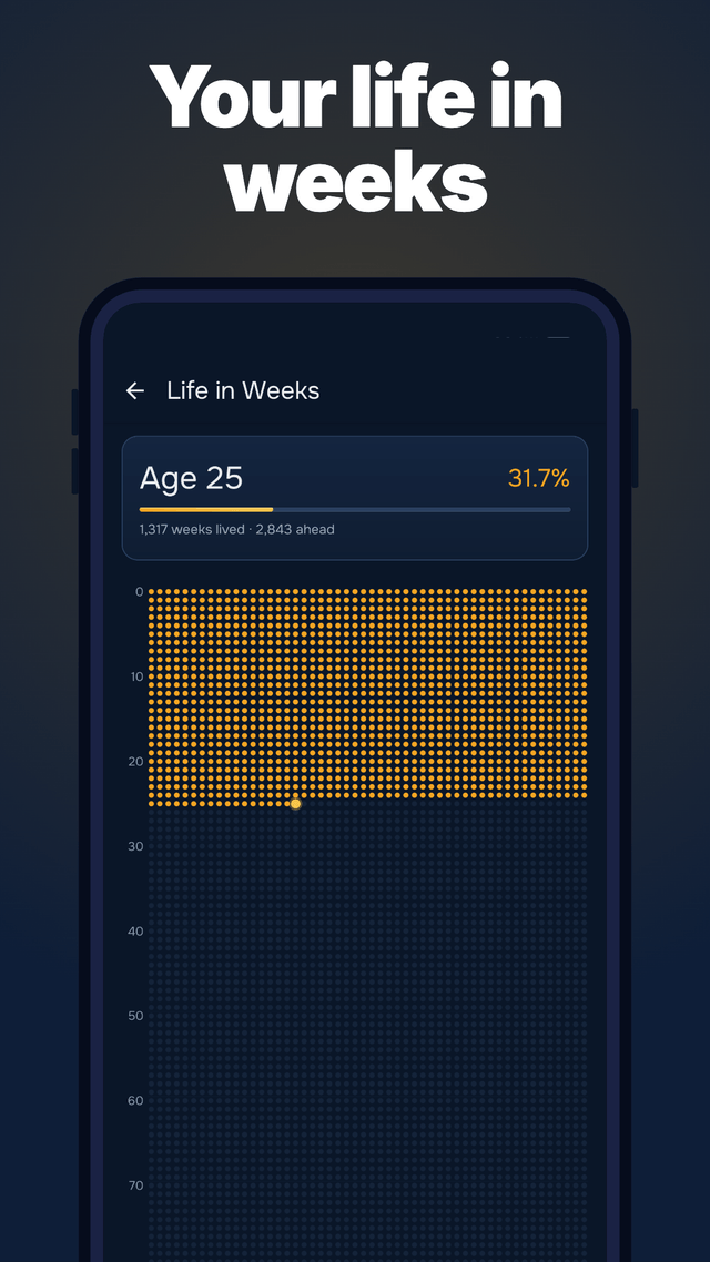 Year Progress 2026 & Goals screenshot 2