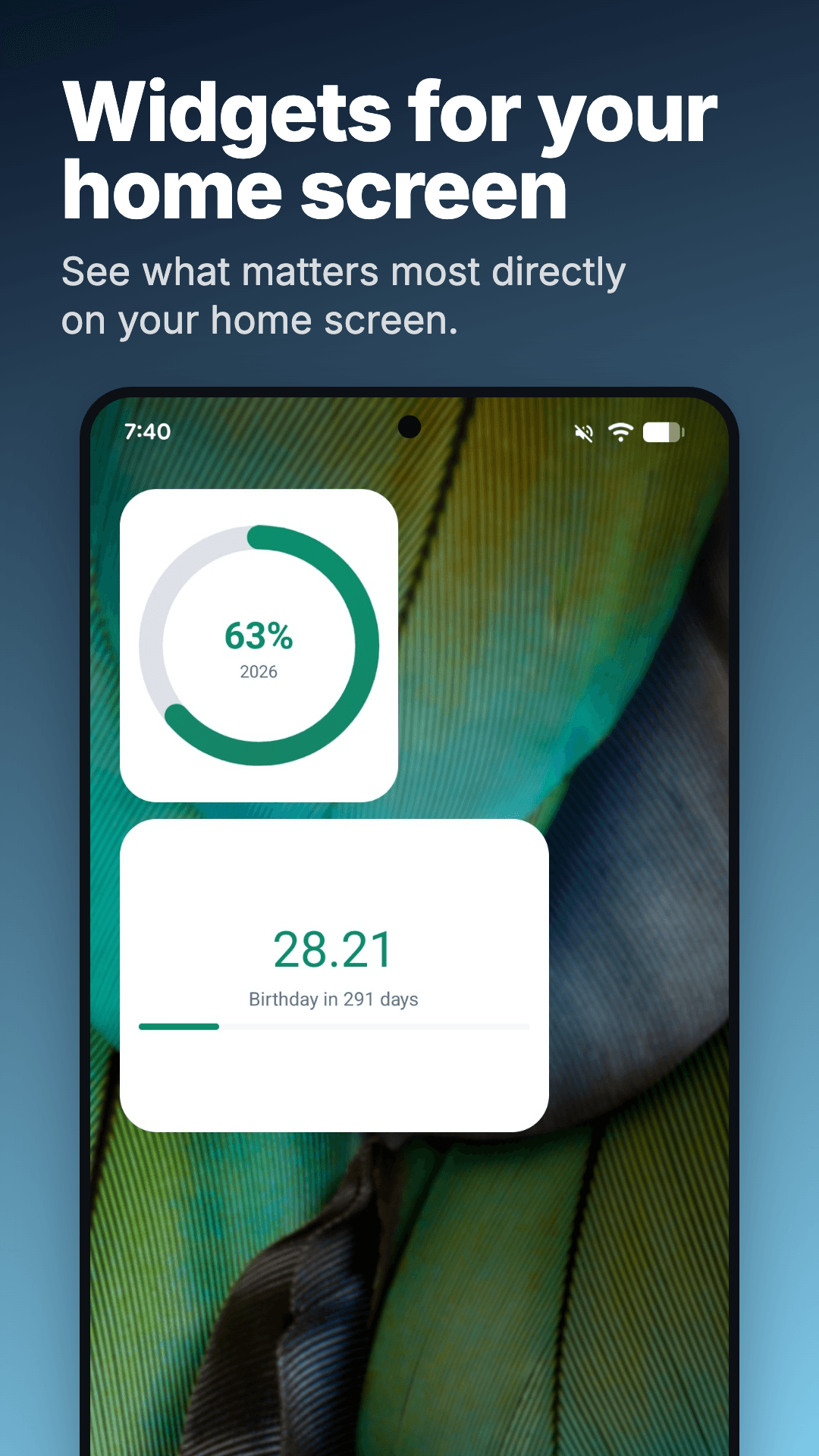 Two Year Progress widgets on an Android home screen.