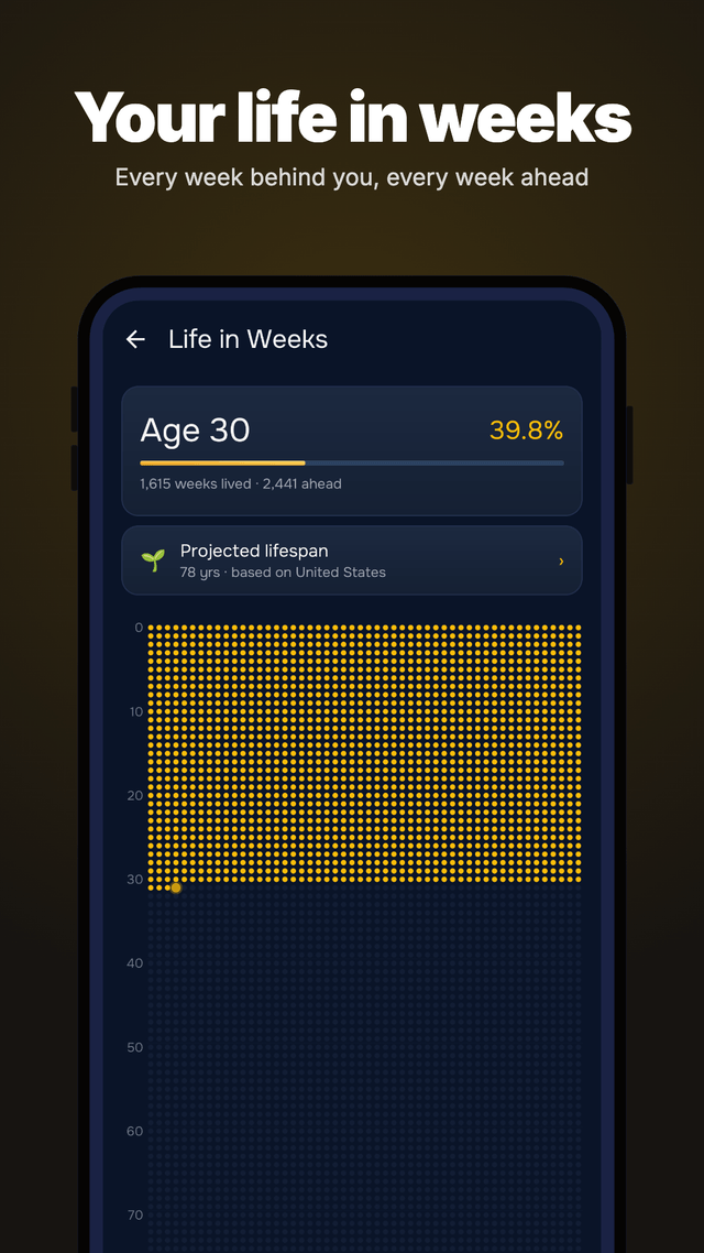 Year Progress 2026 & Goals screenshot 4